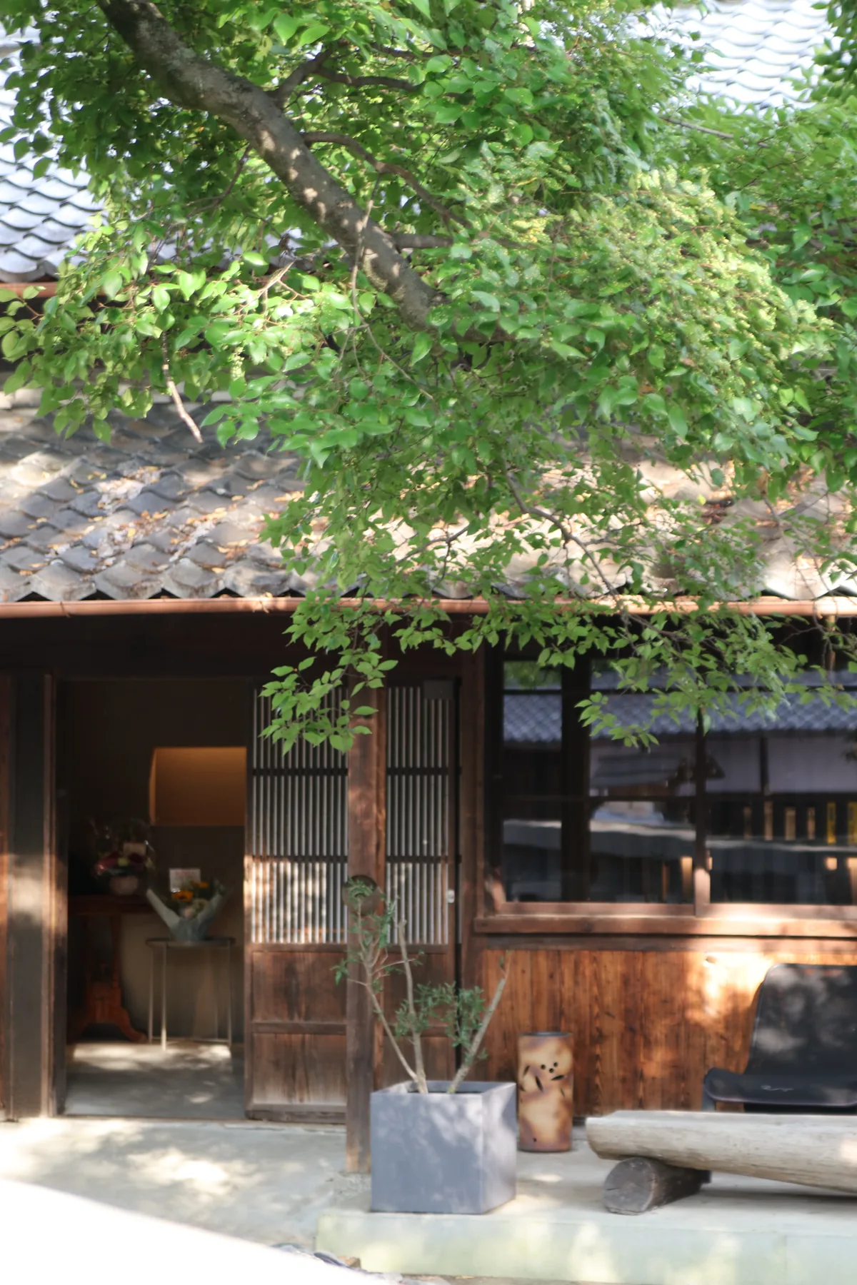 木々に包まれた長屋の佇まい